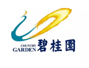 天河碧桂园地产